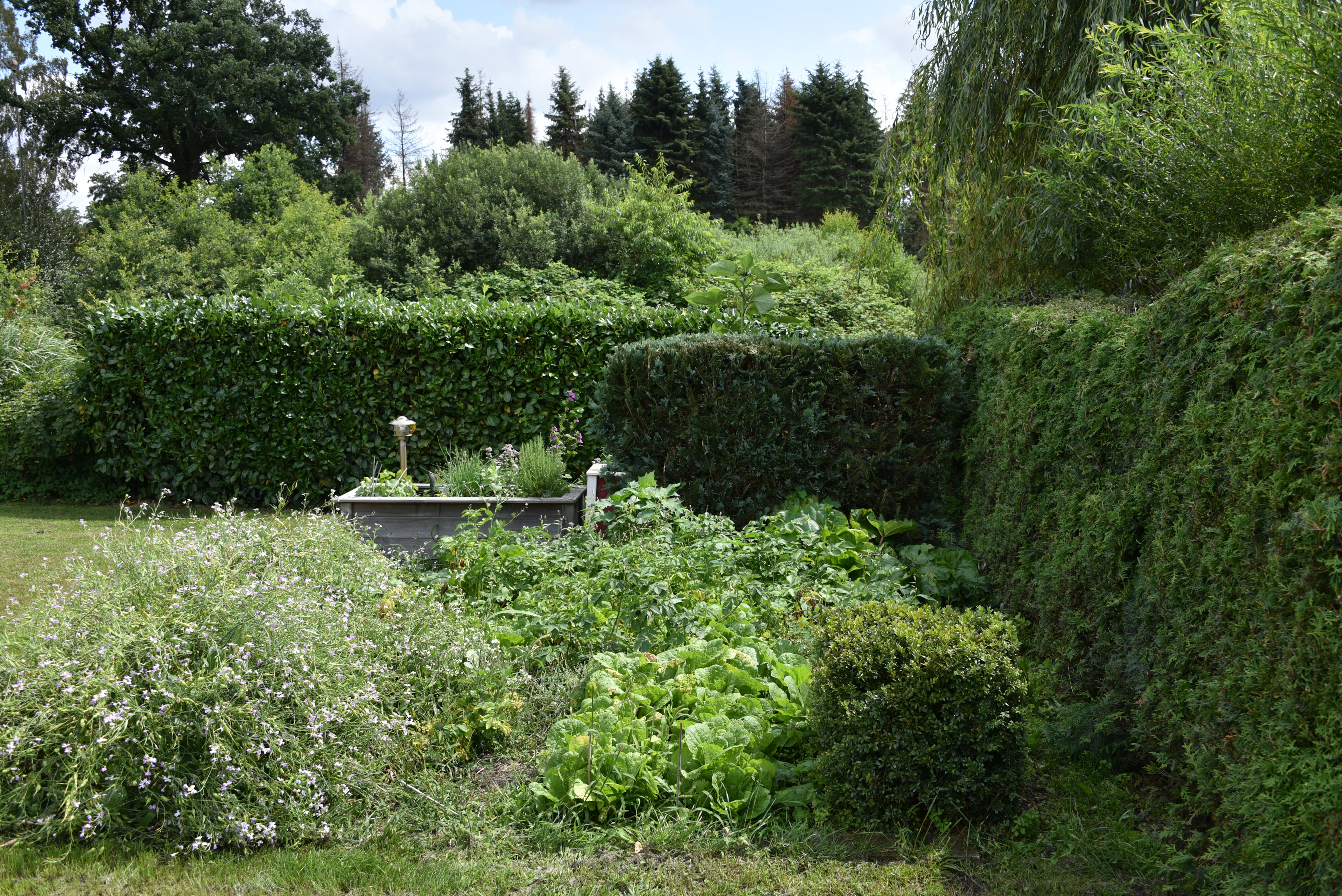 Hausverkauf in Schloß ricklingen (Garbsen)