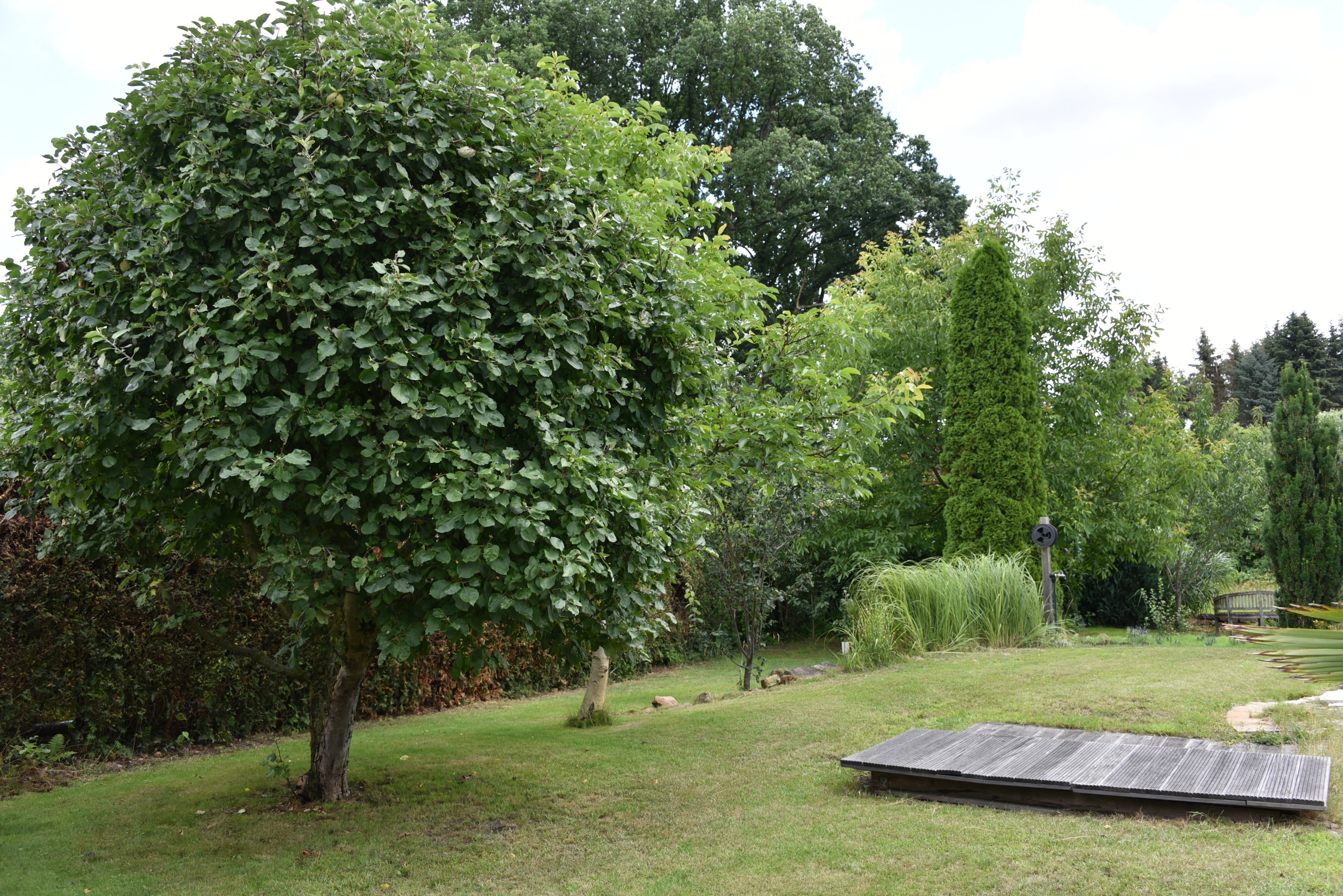 Hausverkauf in Schloß ricklingen (Garbsen)